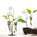 Literary Iron Hydroponics Plant Vase and Water culture glass vase and crafts For Desktop Decoration